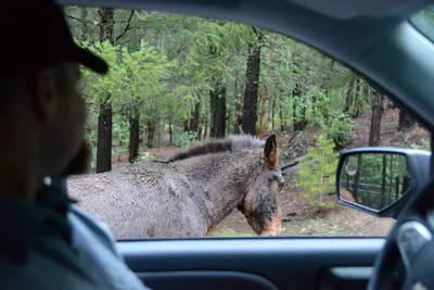 DSC_0958 (Large).JPG